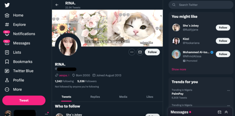 Product image for 5k-6k Twitter account