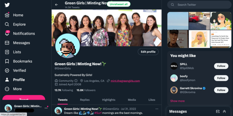 Crypto/NFT Twitter with 15k Followers Crypro twitter with 15k followers