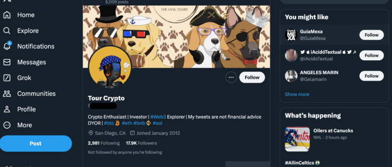 Crypto/NFT Twitter Account with 17k Followers